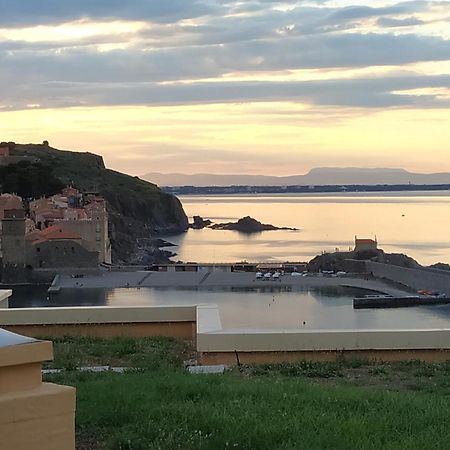 Location Vue Mer Du Samedi Au Samedi, Clim, Parking, Piscine, Plage Κολιούρ Εξωτερικό φωτογραφία